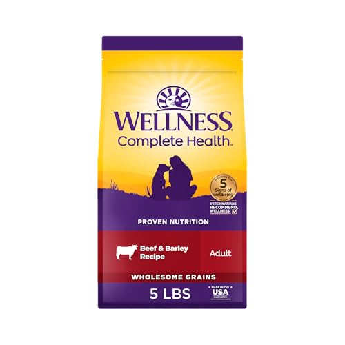 Image of Wellness Complete Health Adult Dry Dog Food, Wholesome Grain Kibble, Natural, Beef and Barley Recipe, 5 lb Bag