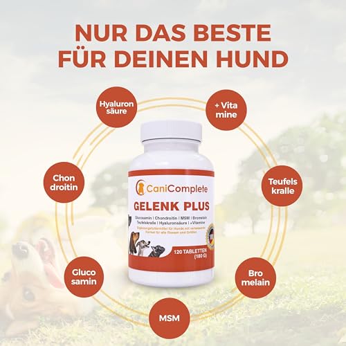 CaniComplete Gelenk Plus - Gelenktabletten für Hunde: Teufelskralle, MSM, Chondroitin, Glucosamin, Kollagen, Vitamin B, UVM.