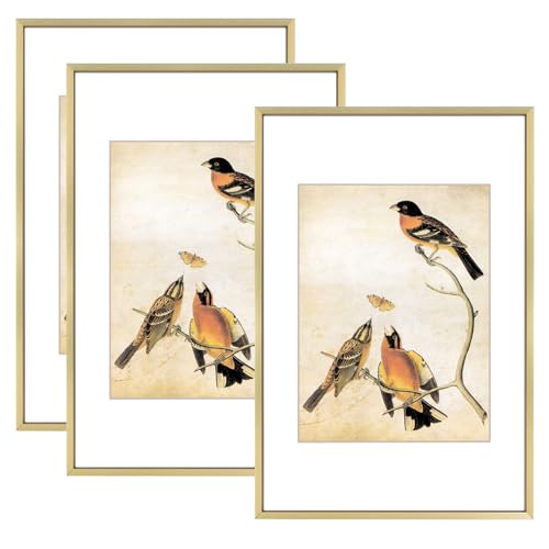 8x12 Picture Frame Set of 3, Brass Aluminum Metal Photo Frames with HD Glass, Fits 6x8 with Mat or 8 x 12 without Mat, Display for Wall