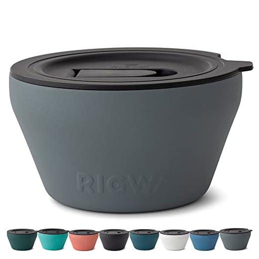 RIGWA Stainless Steel Insulated Food Container - Hot and Cold Insulated Bowl - Vacuum Sealed Containers for Food - Bowls with Lids, 48oz, Slate