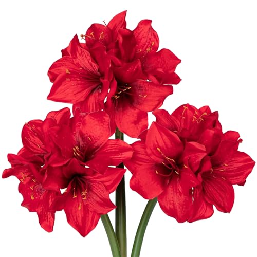 Villa Como  A}X 3{ 15CM  ~ ԑ A[gt[ CeA NX}X v[g ̓ hV̓ Vzj JXj (bh)