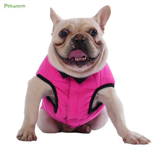 Best Waterproof Coat For Dog Walking fOR 2025