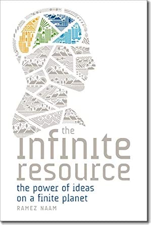 The Infinite Resource book cover