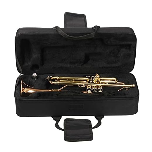 Hapihom Caja de almacenamiento portátil para trompeta, mochila ligera y gruesa, correas ajustables, accesorios para instrumentos de viento, color negro