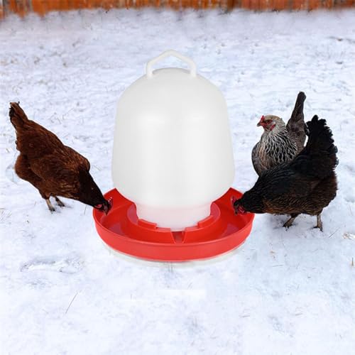 Geflügel-Wasserbrunnen Geflügel-Wasser-Futterspender Hühner-Wassereimer Automatischer Hühner-Futterspender Kunststoff Auto Geflügel und Wild Vogelbrunnen Tränke für Hühner (Weiß, Einheitsgröße)