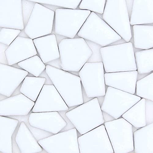 200G Ceramic Mosaic Tiles For Crafts,Irregular Stained Ceramic 0.2"X0.8" Porcelain Mosaic Tiles For Home Decoration (White) #TOP10