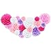 Pink Tissue Paper Flowers Pom Poms Set - 20pc Assorted Sizes for Wedding Birthday Baby Shower Party Decorations - Light Pink, Purple, Rose, White Backdrop Decor Kit