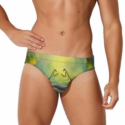 Malaysia Praying Mantis Insect Mens Swim Briefs Quick Dry Swim Trunk Bikini Underwear Swimsuit