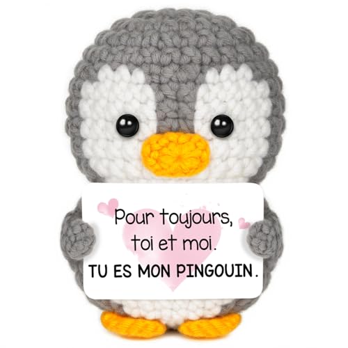 Gleevara Cadeau Couple Amoureux pour Femme Homme, Pingouin Mignon Crocheté à la Main, Idee Cadeau Couple, Cadeau Anniversaire Saint-Valentin pour Petite Amie Petit Ami
