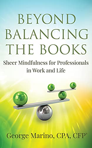 Beyond Balancing the Books: Sheer Mindfulness for Professionals in Work