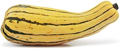 Fresh Produce Organic Delicata Squash