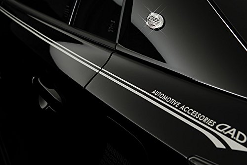 DAD ピンストライプステッカー ST096 Amazon.co.jp: ギャルソン DAD ピンストライプステッカー 【ST096