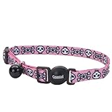 Coastal Pet Fashion Cat Collar Adjustable 8-Inch to 12-Inch, Breakaway Buckle with Bell, Skulls Pink