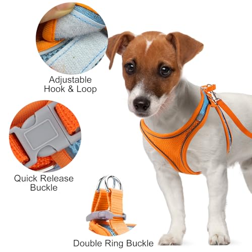 Verstellbares Katzengeschirr, Air-Mesh Atmungsaktiv Brustgeschirr mit1,5m Leine, Weich Gepolstert Hunde Geschirr, Katzenleine Kitten mit Reflektierenden Streifen, Katzen Weste (Rosa, 3XS)