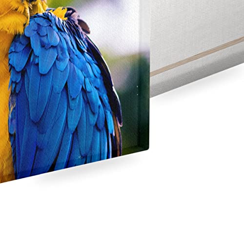 Ara bleu perroquet tableau Coco pour raviver un mur blanc
