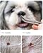 RANYUNSYZ 1 Pc Silver 2 in 1 Tick Removal Tool for Pets, Stainless Steel Tick Remover Tools, Professional Tick Tweezers Ticks Remover for Dogs, Cats and Humans, Flea and Tick Control