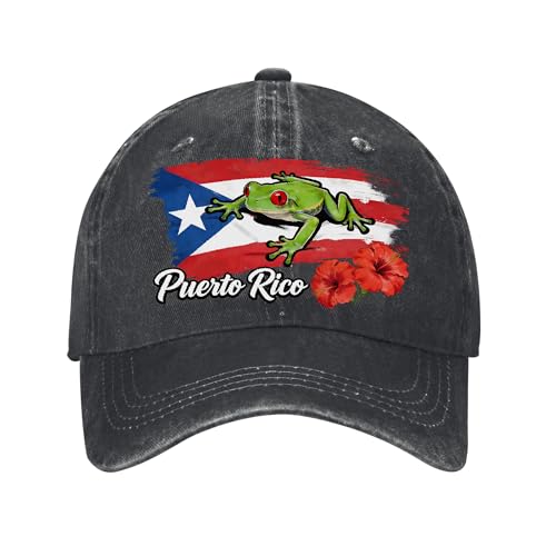 HUWAAI Puerto Rican Flag Frog Hibiscus Men Women Baseball Cap Adjustable Classic Cotton Vintage Washed Plain Hat Golf Dad Hat for Running Workouts Outdoor Red
