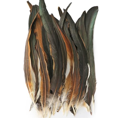100 Pcs Natural Roosters Feathers, Natural Feathers Decoration, Soft Pheasant Tails Feather, Brown Rooster Tails Feather for Dream Catchers DIY, Hair Hats, Cosply Props, Party Decoration (100)