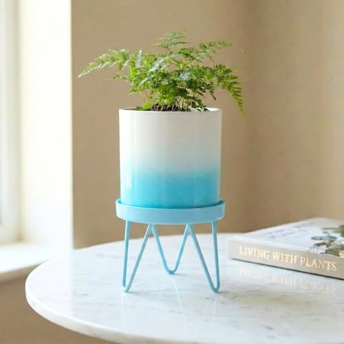 Image of ecofynd Lucas Metal Plant Pot with Sky Blue Stand, Modern Style Planter Set, Indoor Outdoor Home Decor Item for Garden Plants Flower, Balcony, Patio, Living Room, Garden, Bedroom (PWS032-WHTSBL)