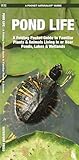 Pond Life: A Folding Pocket Guide to Familiar Plants & Animals Living in or Near Ponds, Lakes & Wetlands (Wildlife and Nature Identification)