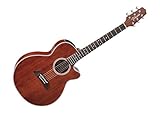 1 Stück Takamine EF-261 San - Antique Gloss - Legacy Serie