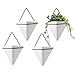 T4U Triangle Wall Planter, Set...