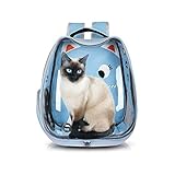 【MATERIAL DURADERO Y ADECUADO PARA MASCOTAS】: Hecho de material ABS sólido y tela oxford, la mochila para gatos PETCUTE es impermeable, antiarañazos y apta para mascotas. Con nueve orificios y malla de aire, deje que su mascota respire libremente y se relaje.