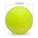 SUNEZLGO Premium 12-Piece Tennis Balls Set, 2.5 Inch Diameter, Durable Thickened Safe Natural Rubber, Multi-Purpose, Ideal Sports Gift