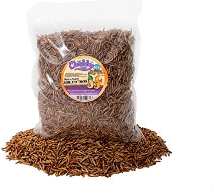 2lb Chubby Mix (Mealworm & Black Soldier Fly Larvae Combo) for Wild Birds, Chickens etc.