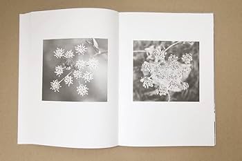 アート・デザイン・音楽 Jochen Lempert: Paare / Pairs Jochen Lempert Paare / Pairs – Hato Press