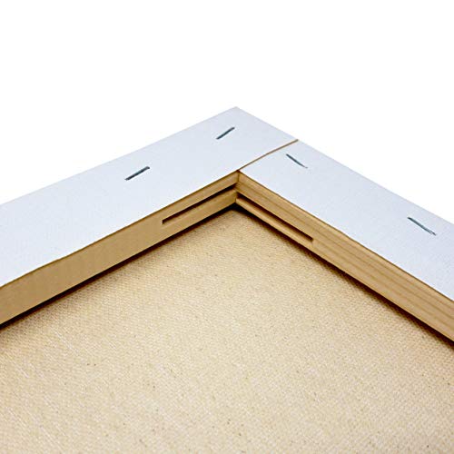 milo Pro Stretched Artist Canvas | 36x48 inch | Pack of 2 | 3/4” inch Thick Studio Profile | Ready to Paint 11 oz Primed Heavy Duty Large Canvas Art Supplies for Painting by milo - Used condition - US$87.39