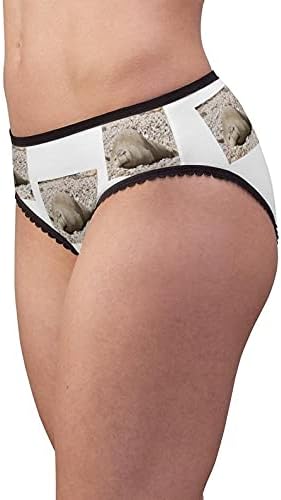 Mediterranean Monk Seal Panties, Mediterranean Monk Seal Underwear, Briefs, Cotton Briefs, Funny Underwear, Panties For Women