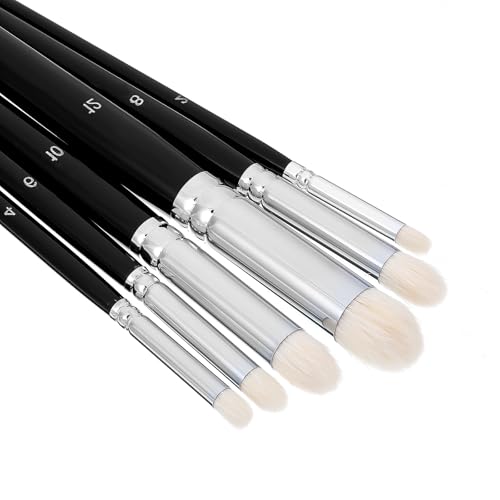 Dry Brush Miniature Painting 6Pcs Professional Dry Brush Set Beginners Practical Miniature Paint Brushes for Acrylic Painting Tabletop Scale Model(Black Silver Tail)