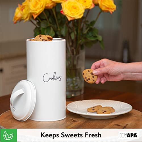Ilyapa Cookie Container, Cookie Jars For Kitchen Counter Decorative, Old Fashioned Farmhouse Cookie Jar, Galvanized White Nostalgic Metal Cookie Tins With Lids #TOP3
