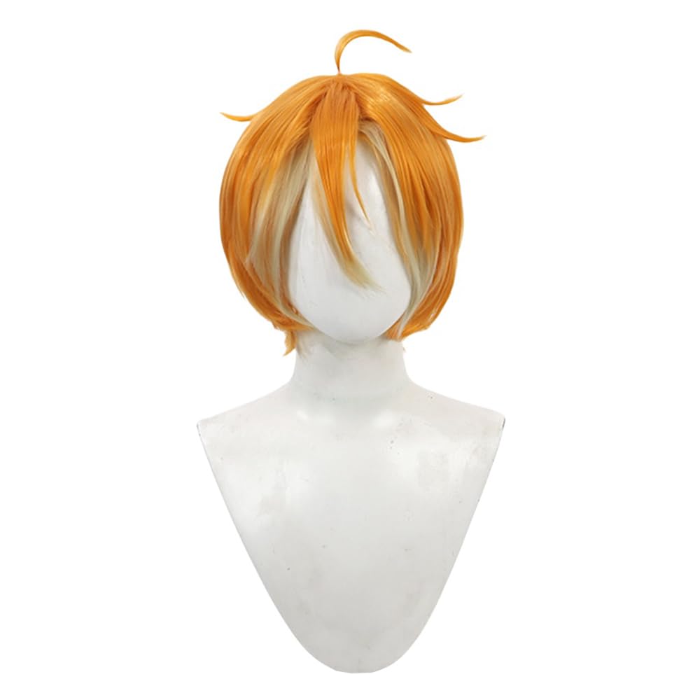 【確認用】ポーズスケルトン 用ウィッグ　ヅラ　カツラ Amazon.co.jp: コスプレウィッグ かつら カツラ コスプレ用小物