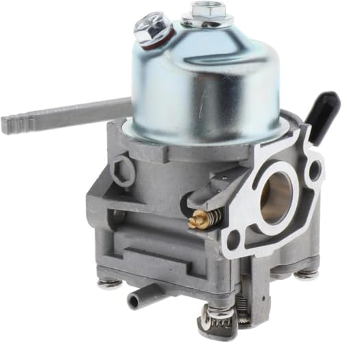 Carburateur de moto et bobine 16100-ZW6-716 pour moteur hors-bord 4 temps BF2D2 - 2