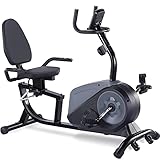 ECHANFIT Recumbent Exercise Bike with 8 Levels Magnetic Resistance for Seniors Adults, Indoor Stationary Bike with Pulse Rate Monitor and Quick Adjustable Seat, 350 LB Weight Capacity