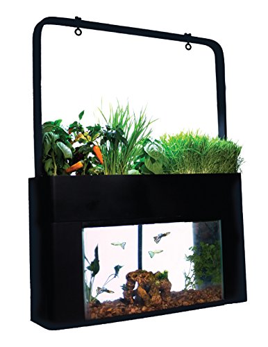 Aquasprouts Garden, Self-Sustaining Desktop Aquarium Aquaponics Ecosystem Kit, Fits Standard 10 Gallon Aquariums #TOP1