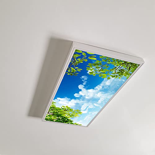 Lanqiao Fluorescent Light Covers For Office & Classroom Decorations-Ceiling Sky And Clouds-Eliminate Harsh Glare And Headaches-Easy To Install Fluorescent Light Diffuser-2'X4' #TOP1
