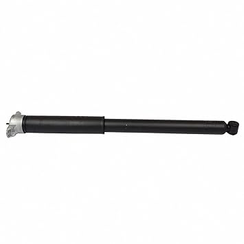 Motorcraft - Shock Absorber Asy (P) (ASH24509)