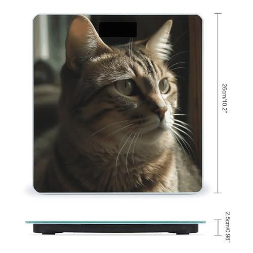 Báscula de baño digital Tabby Cat de vidrio templado miniatura 2