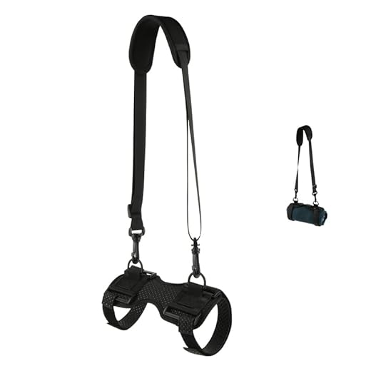 ZLiT Travel Carrying Shoulder Strap for JBL Flip 3/4/5 Charge 3/4/5 Pulse4 for Beats Pill+ for Sony SRS-XB23 for UE Boom 2/3 MegaBoom 1/3 Speaker Cover Case (1)