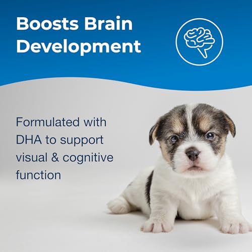 PetAg Esbilac 2nd Step Puppy Weaning Food (5 lb) + PetAg Dyne High Calorie Liquid Nutritional Supplement for Dogs & Puppies 8 Weeks and Older (1 Gallon) - Thumbnail 4