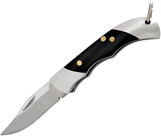 EDC Folding Pocket Knife, 1.4 Inch Stainless Steel Blade, 2 Inch Closed Compact Manual Knife with Resin Handle for Daily Use, Package Opening (black)
