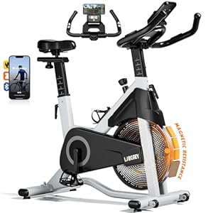 LABGREY Bicicleta Indoor Ejercicio Gym Casa Fitness Bikes Volante 15 KG, Bicicleta Estática Magnética con Bluetooth, Resistencia Ajustable con Pantalla LCD y Monitor de Frecuencia Cardíaca