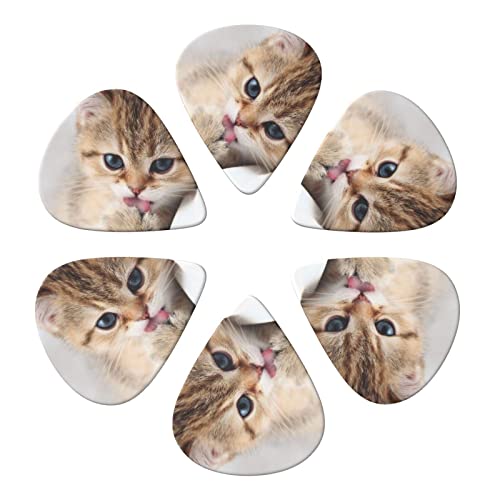 ASDTEHCY Lot de 6 médiators en celluloïd à motif chat pour guitares acoustiques électriques, basses ou ukulélé - Les Beatles, Paul McCartney, John Lennon, RIngo Starr, George Harrison ASDTEHCY Lot de 6 médiators en celluloïd à motif chat pour guitares acoustiques électriques, basses ou ukulélé – Image 3