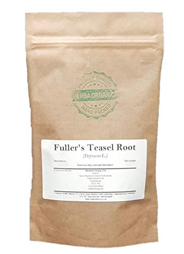Racine de Cardère Sauvage tisane de Dipsacus L en vrac de 100g