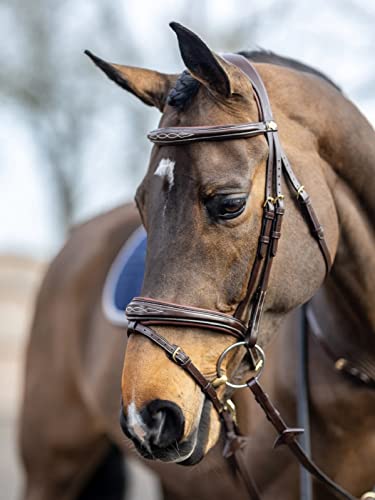 Foto von LeMieux Competition Flash Trensenzaum - Havanna Full