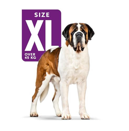 Royal Canin 35245 Giant Adult 4 kg - Hundefutter
