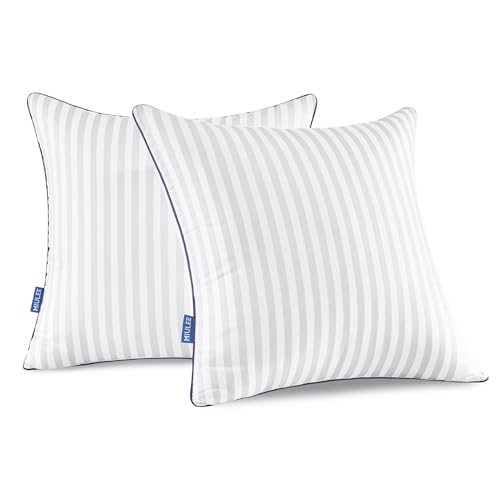 Miulee BBTW_INSERTS_2P_4545 18X18 Throw Pillow Inserts Set Of 2 cover